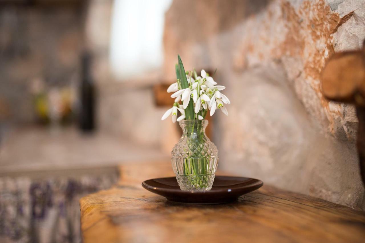 Appartamento The Terrace Moscenice Esterno foto